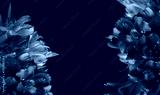 preview cold