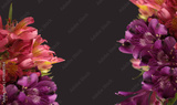 preview original
