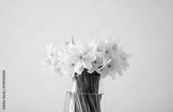 preview bw