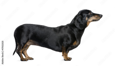 image to crop