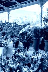preview cold