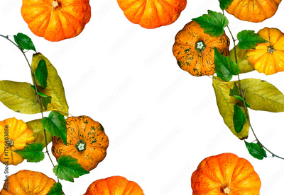 image to crop
