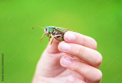 image to crop