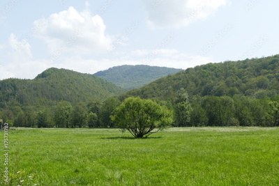 image to crop