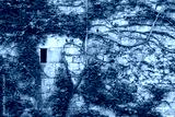 preview cold