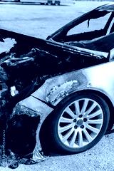 preview cold