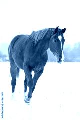 preview cold