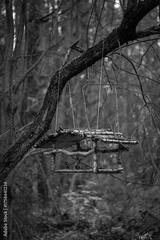 preview bw