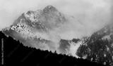 preview bw