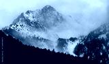 preview cold