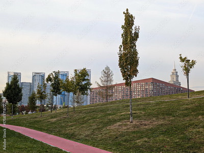 image to crop