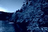 preview cold