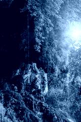 preview cold
