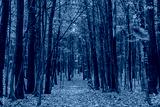 preview cold