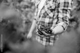 preview bw