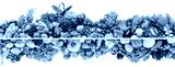 preview cold