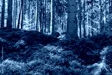 preview cold