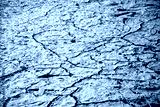 preview cold