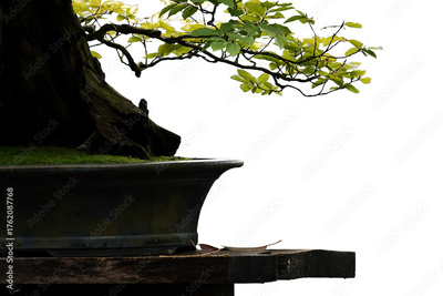 image to crop