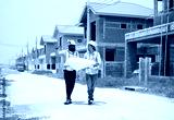 preview cold