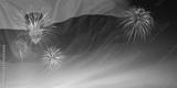 preview bw