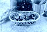 preview cold
