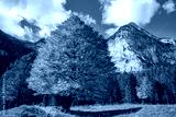preview cold