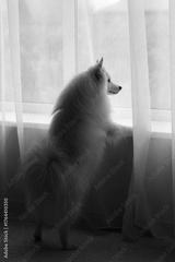 preview bw