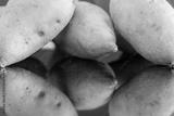 preview bw