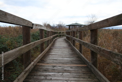 image to crop