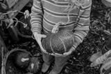 preview bw