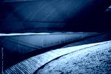 preview cold