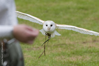 image to crop