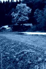 preview cold