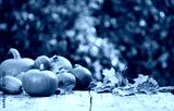 preview cold