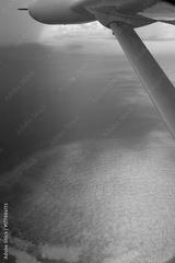 preview bw