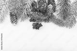 preview bw