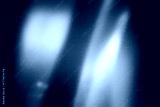 preview cold