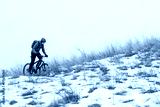 preview cold
