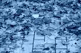 preview cold