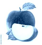 preview cold