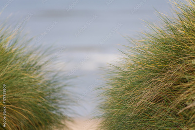 image to crop