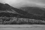 preview bw