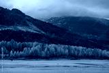 preview cold
