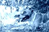 preview cold