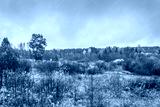 preview cold