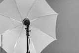 preview bw