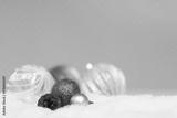 preview bw