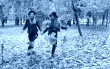 preview cold