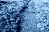 preview cold